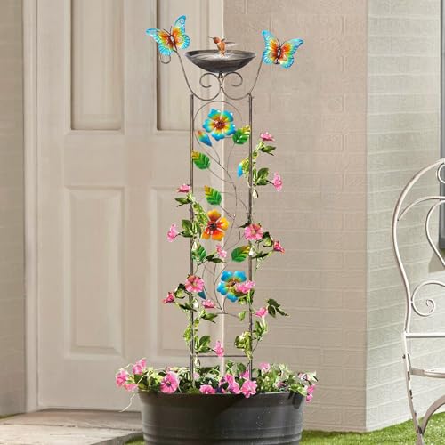Bird Bath for Outside