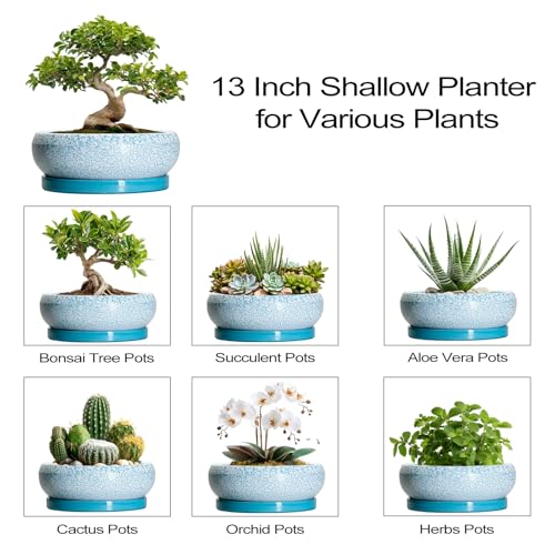 Bonsai Pots 13 Inch Ceramic Succulent Pots with Drainage Hole and Tray (13 Inch / Blue-white)