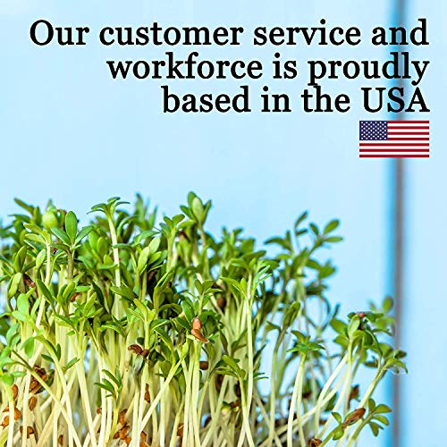 10" x 10" Garden Growing Trays with Drain Holes (10 Count)