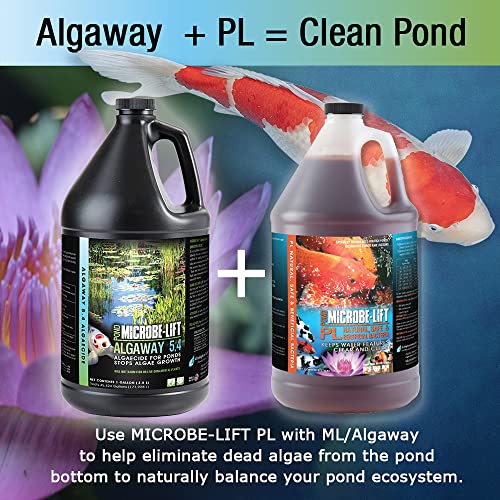 ALGA2.5 Algaway 5.4 Algae Control Treatment for Ponds and Water Gardens (320 Fl Oz)