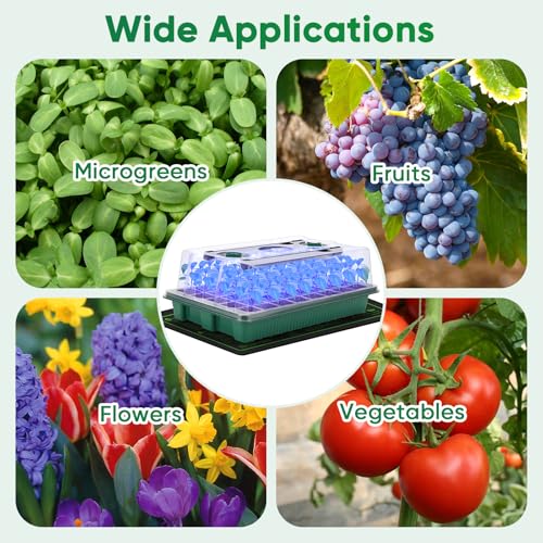 40 Cell Seed Starter Tray with Grow Light