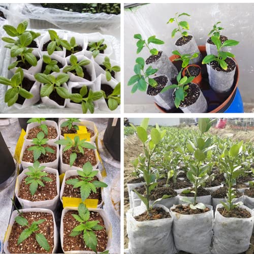 200Pcs Nursery Growing Bags (200 Count)