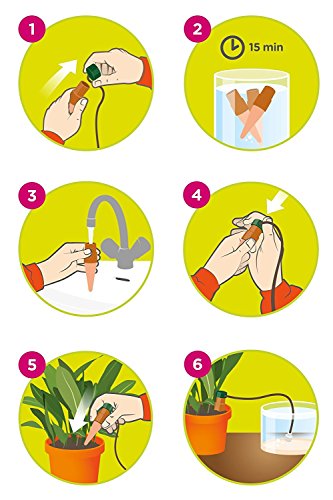 Classic Self Watering Stakes
