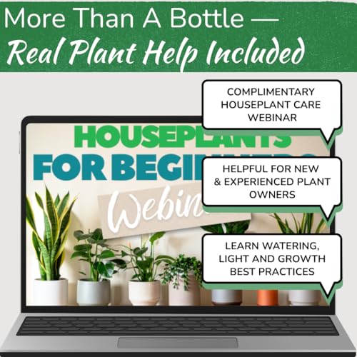 Stainless Steel Houseplant Watering Can