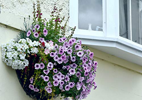 2PCS Half Round Replacement Coco Liner for Hanging Basket Wall Flower Basket (2 Count)