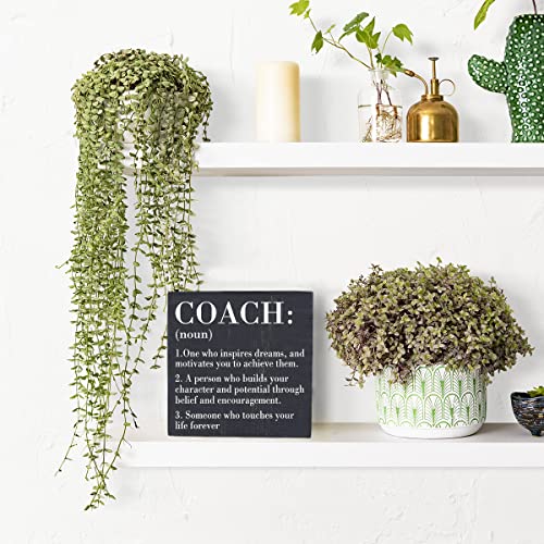 Inspirational Coach Noun Coach Gifts Desk Decor Wooden Box Sign Rustic Black Wood Block Plaque Box Sign for Coach Mentor Trainer Tutor Home Office Desk Shelf Table Decoration Coach send friends