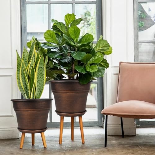 Planters Plant (4 Count)