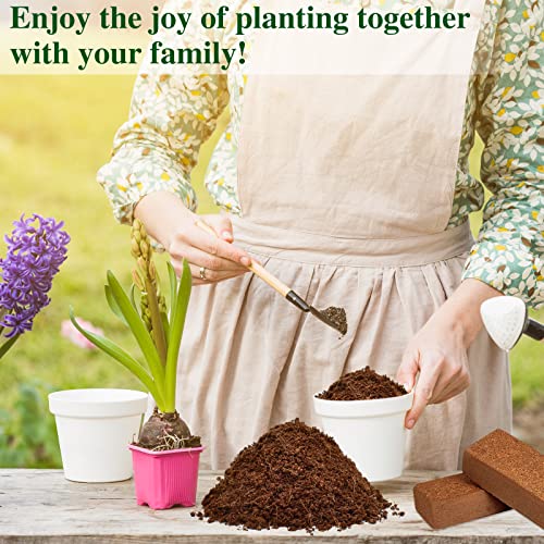 Organic Coco Coir Brick