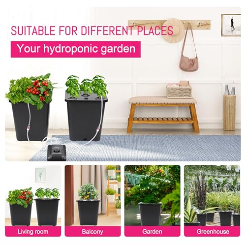 DWC 2 Hydroponic Buckets Kit for Plants