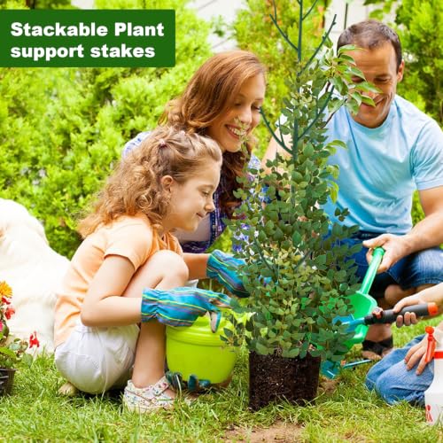 6 Pack Stackable Monstera Plant Support (6 Count)