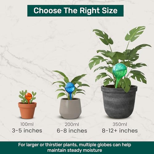 Plant Watering Globes 6 Pack (6pk 200ml Clear Rainbow)