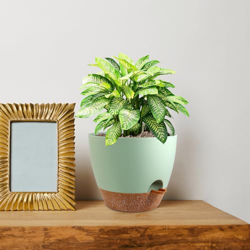 8 inch Self Watering Pots