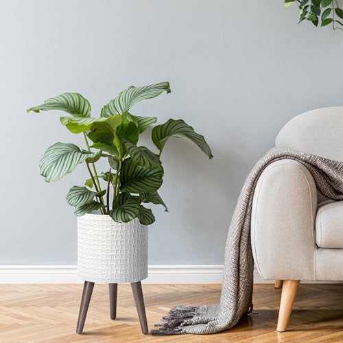 Planter Pot with Wood Stand