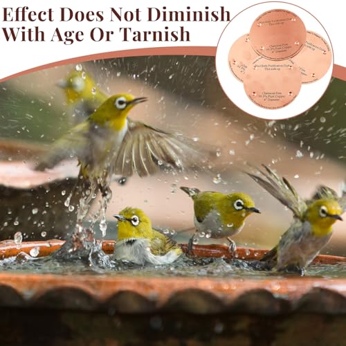 4" Copper Bird Bath Disc