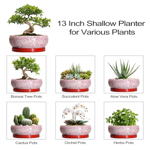 Bonsai Tree Pots 13 Inch (13 Inch / Red-white)