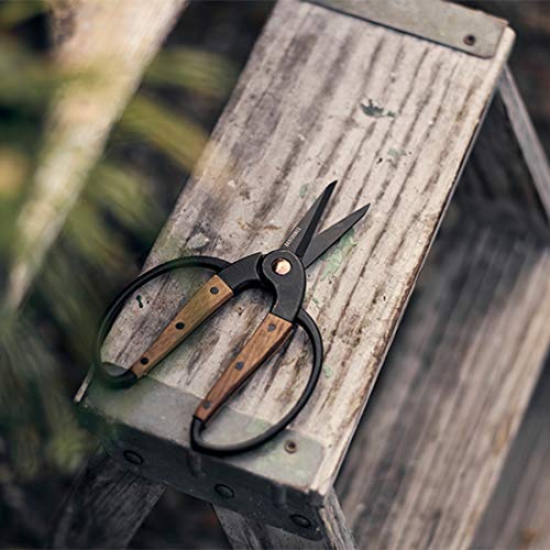 Garden Scissors (Small Garden Scissors)
