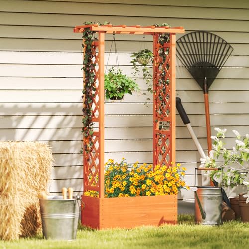 Raised Garden Bed with Trellis (2 Count)