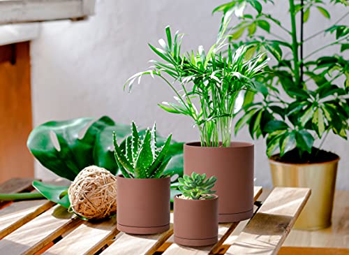 3 Pack Rust Terracotta Pots & Saucers