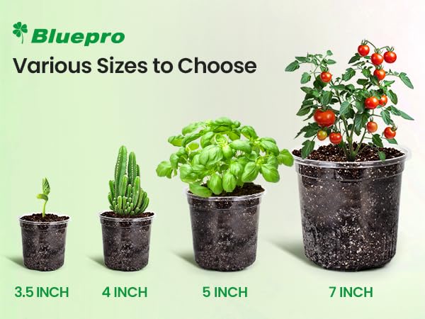 Clear Nursery Pots with Drainage Holes (30 Count)