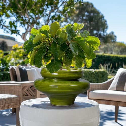 Ceramic Planters for Indoor Plants 11 Inch