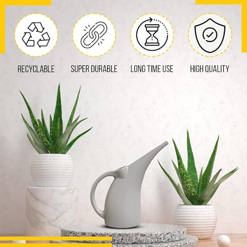 2 Pack Watering Can 1 (Gray / 2 Pack)