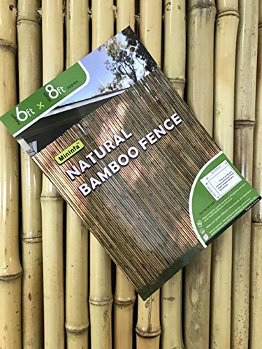 Natural Rolled Bamboo Fence (48 Sq Ft)