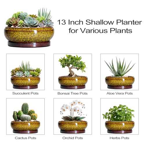 Succulent Pots Large (13 Inch / Leopard Yellow)