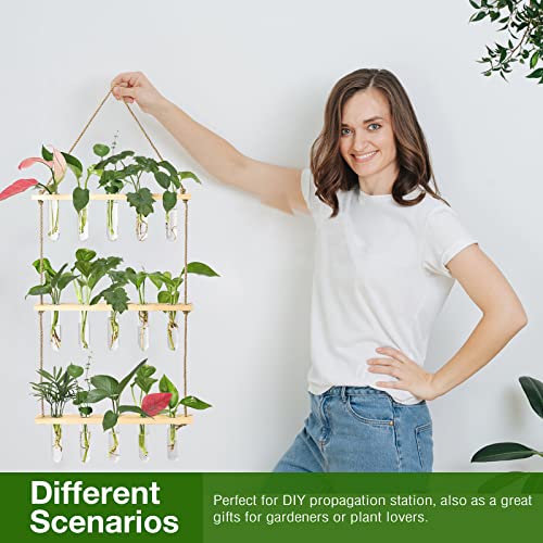 Wall Hanging Propagation Station with Wooden Stand 15 Tubes (16 Count)