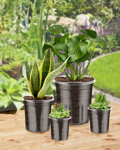 40Pack 6.5/5/4/3.5 Inch Reinforced Clear Nursery Pots with Drainage Holes, Variety Pack Thickened Plastic Plant Pots with 20 Plant Labels for Indoor Outdoor Flower Seed Starter (40 Count)