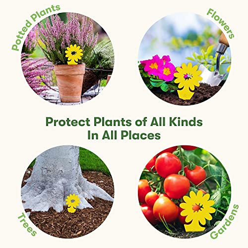 Yellow Sticky Bug Traps for Plants (12 Count)