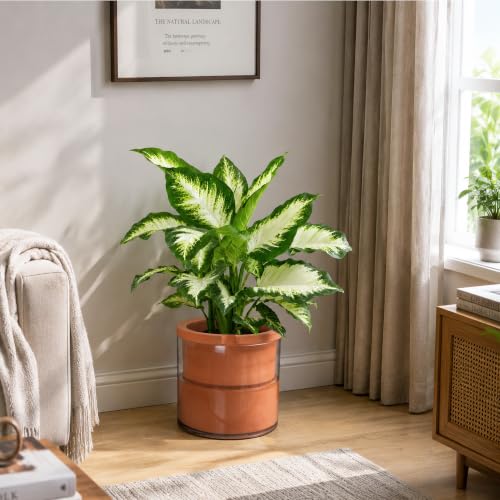 10 Inch Self Watering Planter