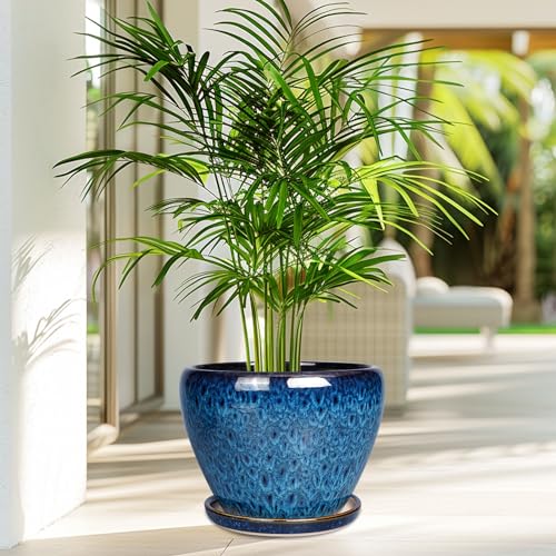 10 Inch Ceramic Planter Pot