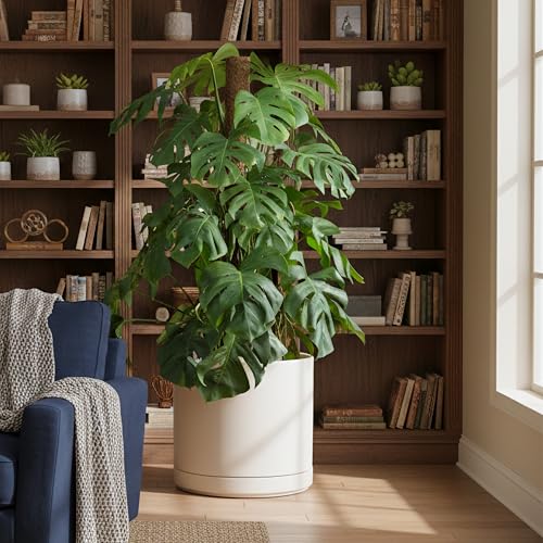 16 Inch Ceramic Planter Pot (XXX-Large / Oatmeal)