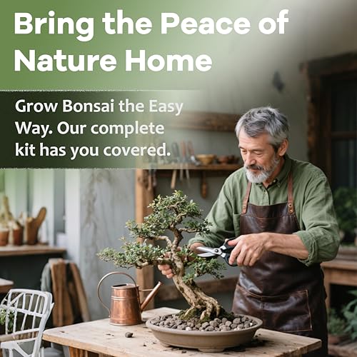 Bonsai Tree Kit for Beginners (5 Count)