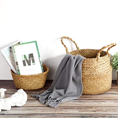 3 Pack Woven Seagrass Belly Basket with Handles (3 Count)