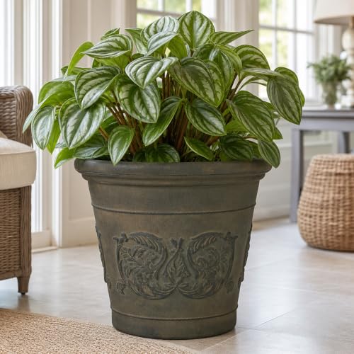Sunnydaze Arabella 16'' Plastic Planter Pot for Plants (Sable / 16 in)