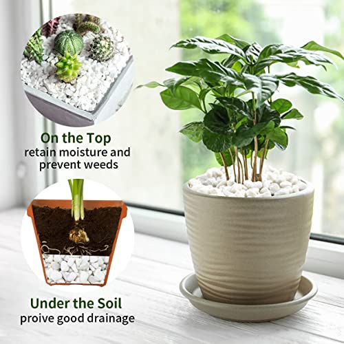 5 lbs White Pea Gravel (80 Ounce)