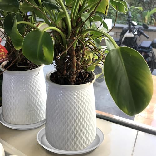 11.75 Inch 10.5 Inch Base (11.75" (4 Pack) / White)