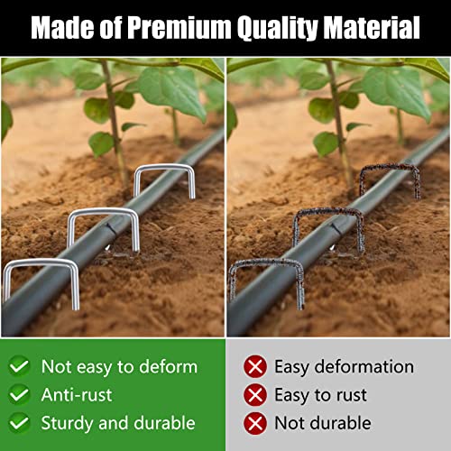 6 Inch 300 Pack Galvanized Landscape Staples 11 Gauge Anti (300 Count)