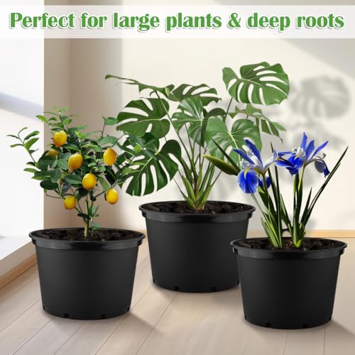 10 Gallon Plastic Nursery Pots
