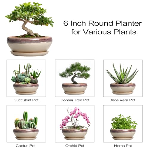 Small Bonsai Pots