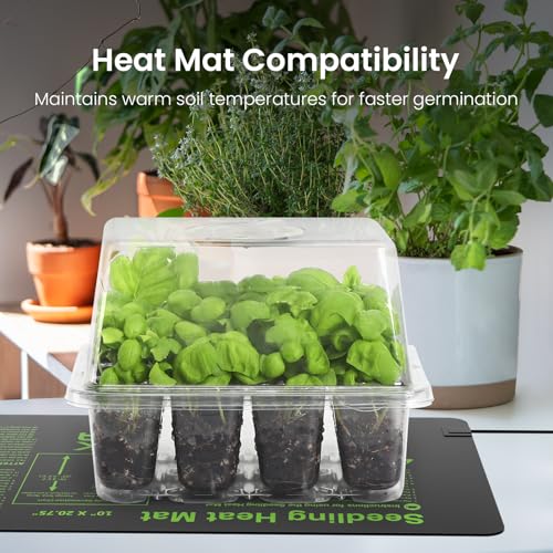 4 Pack Seed Starter Kit with Grow Light (4 Count)