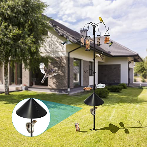 6 Hook Bird Feeding Station with Squirrel Baffle
