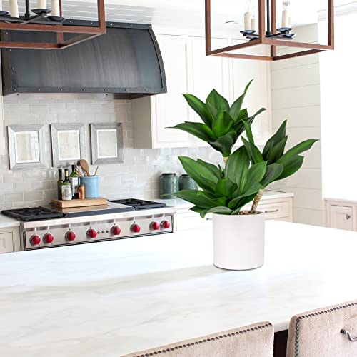 Large Artificial Agave Plants Fake Three