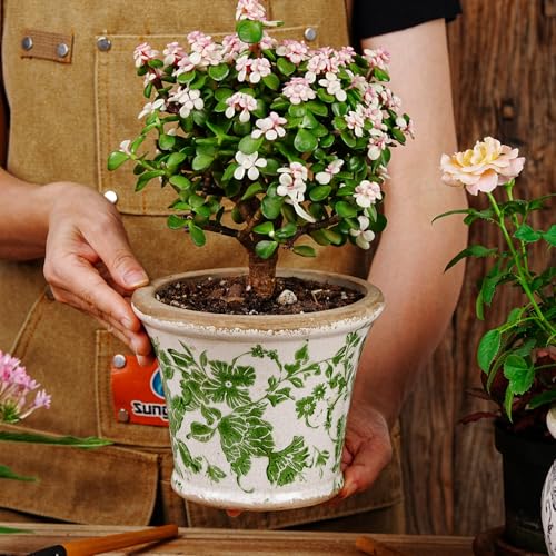 Ceramic Flower Pots (Round - 2pcs - Green & Pink)