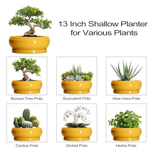 Ceramic Bonsai Pots (13 Inch / Bright Yellow)