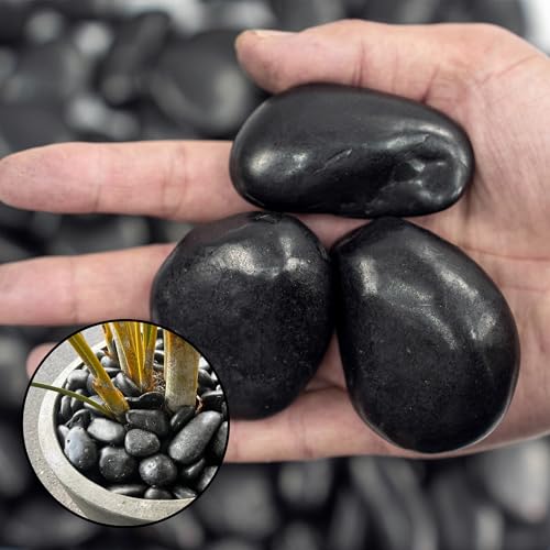 10lbs Black River Rocks