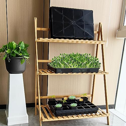 5 Pack Nursery Potting Tray