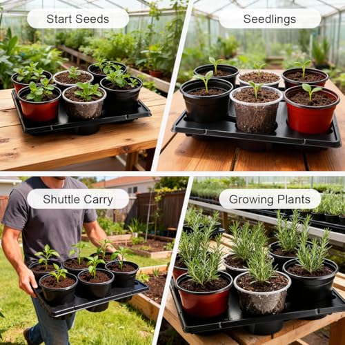 6 Cell Round Nursery Pot Trays for 6 Inch Pots (10 Count)