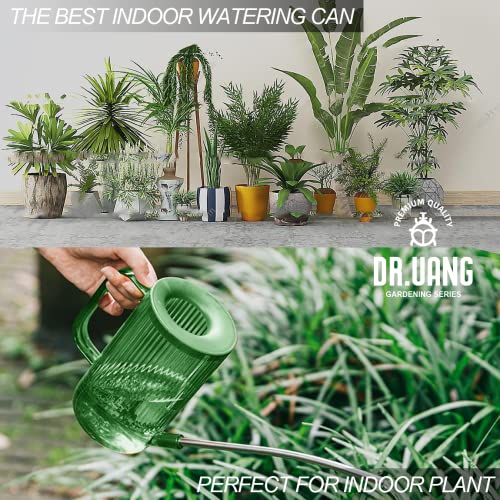 Small Watering Can Indoor Plants with Long Spout